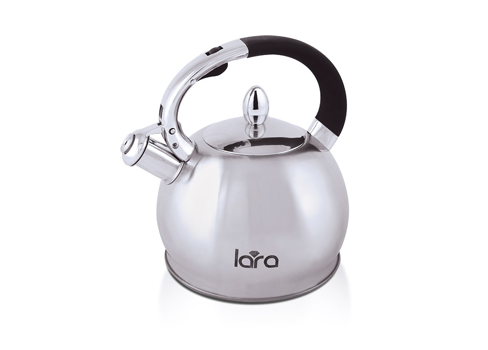 Чайник 3.1л матовый LR00-10 Lara