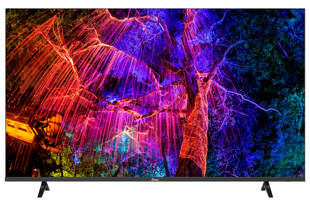 Телевизор SCOOLE SL-LED55S01T2SU