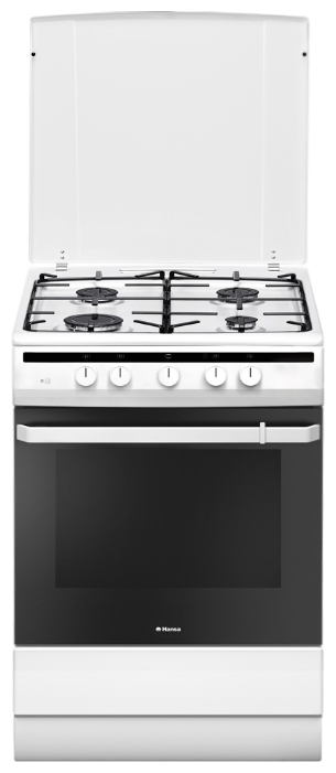 Плита газовая Hansa FCGW61000