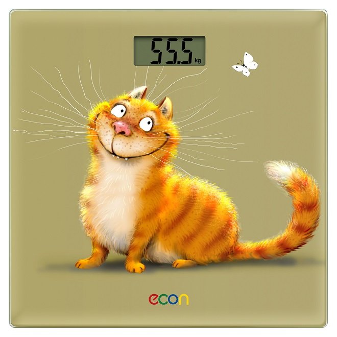 Весы напольные Econ ECO-BS002